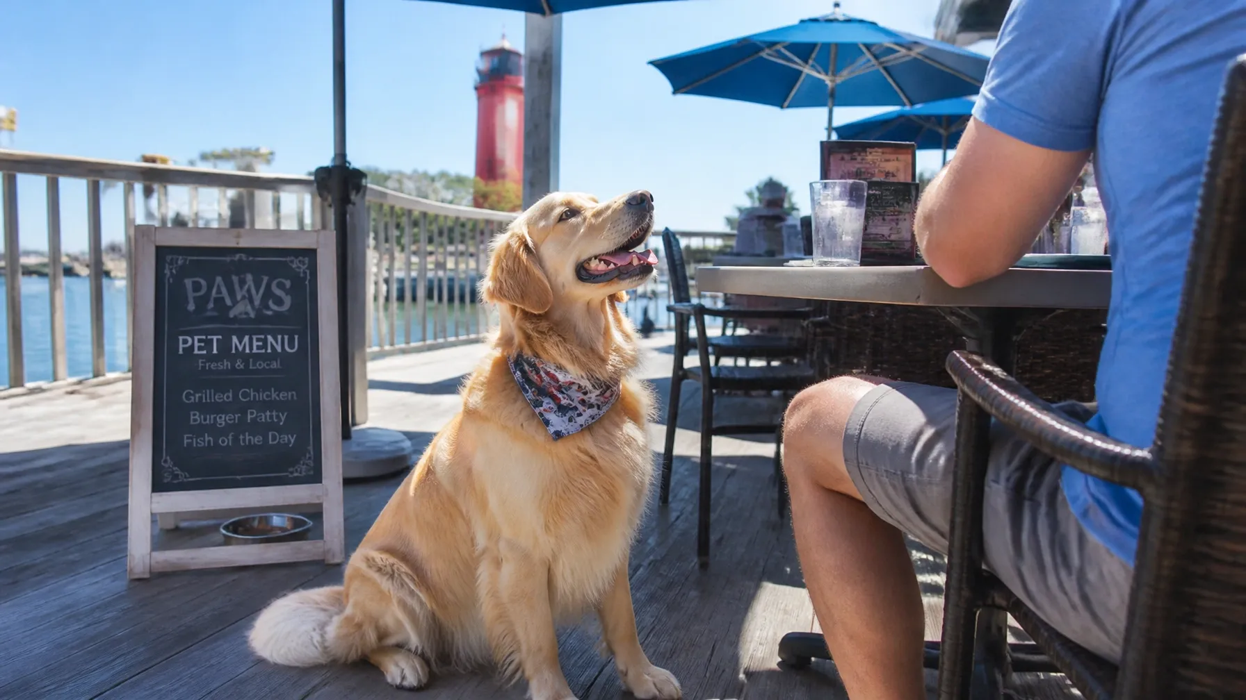 Golden retriever sitting beside a guest on the waterfront deck at HT's Sand Bar & Bistro